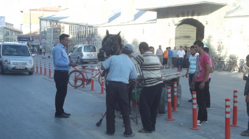 Sahibinden Kaçtı Trafiği Birbirine Kattı