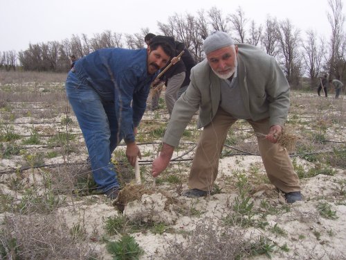 Ağaç Yetişmez Sözü Tarih Oldu