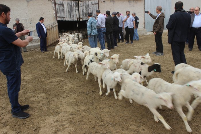 Körfez işadamları geldi