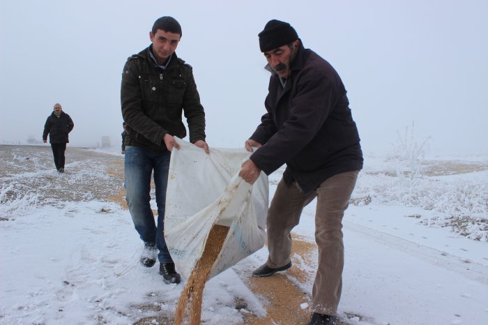 Doğaya Yem Bırakıldı