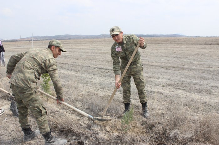 304 Şehit Anısına Fidan Dikildi