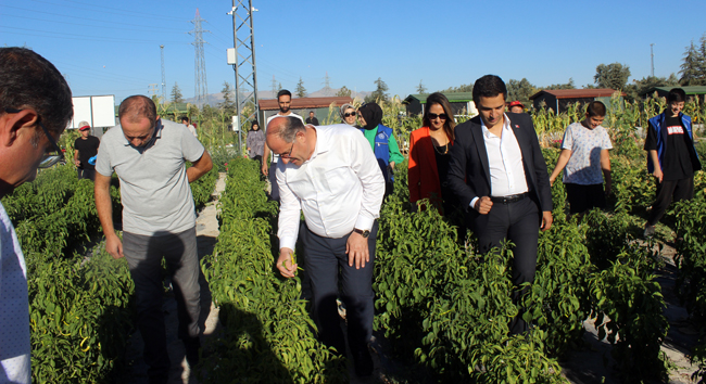 Karapınar'da güzel proje hayata geçti