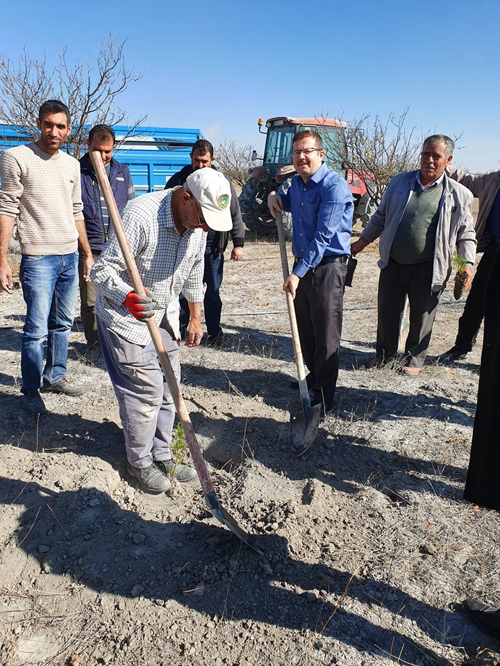 Hotamış'ta fidan dikimi yapıldı