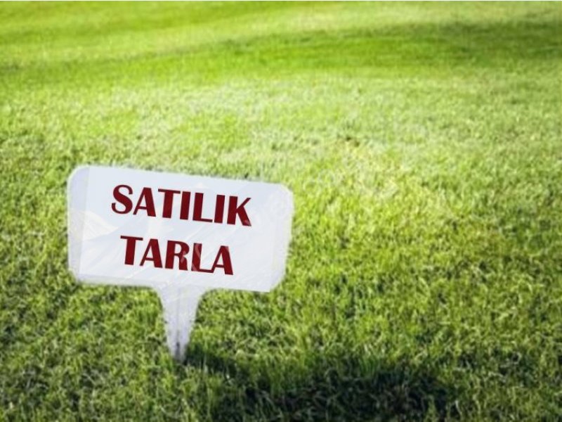 Satılık tarla